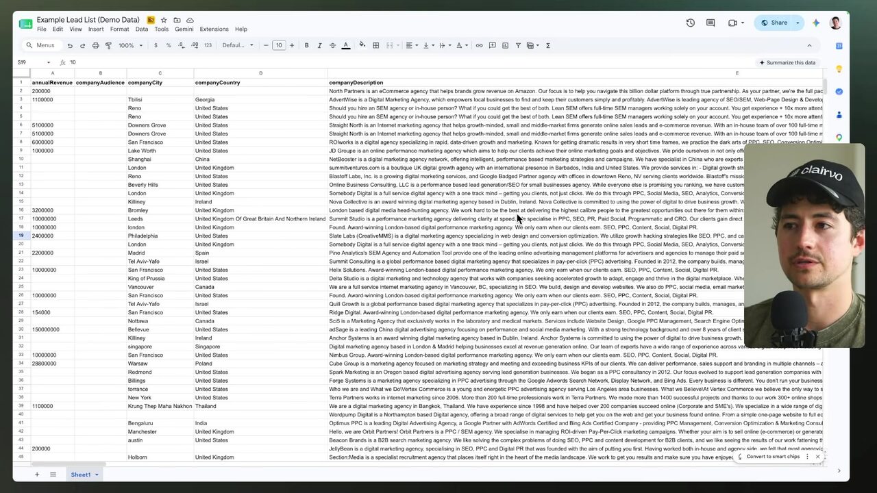 A Google Sheets demo lead list displaying annual revenue, company audience, city, country, and company description columns